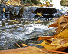 短信验证码轰炸免费